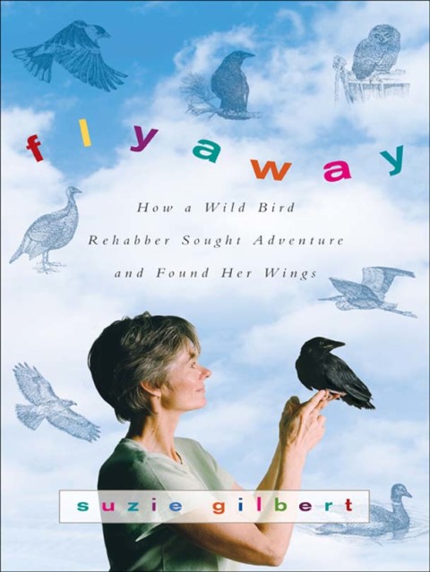 Book Flyaway free
