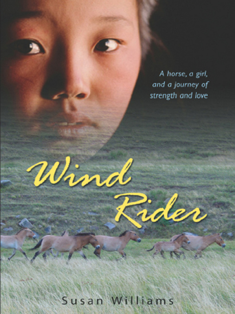 Book Wind Rider (Laura Geringer Books) free