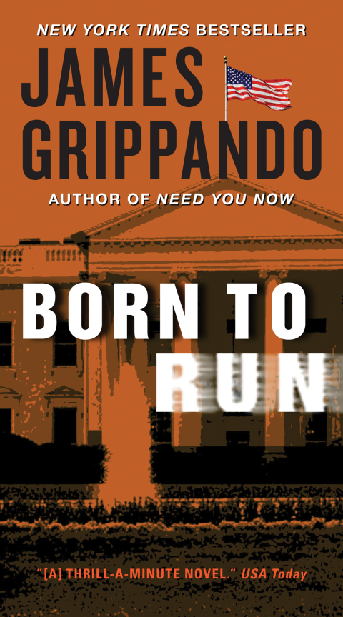 Book Born to Run (Jack Swyteck Book 8) free