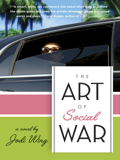 Book The Art of Social War free