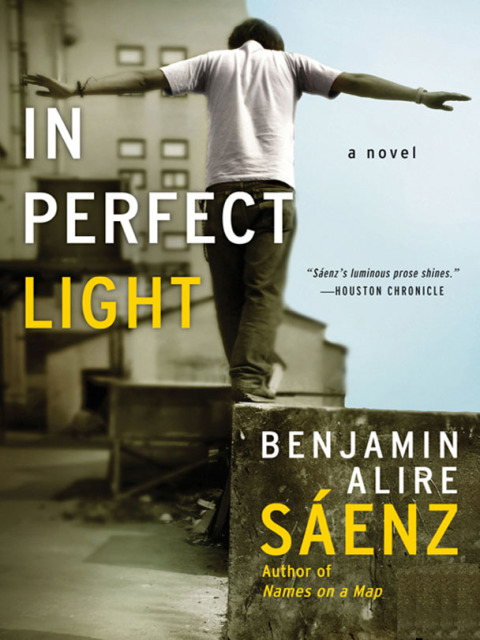 Book In Perfect Light free