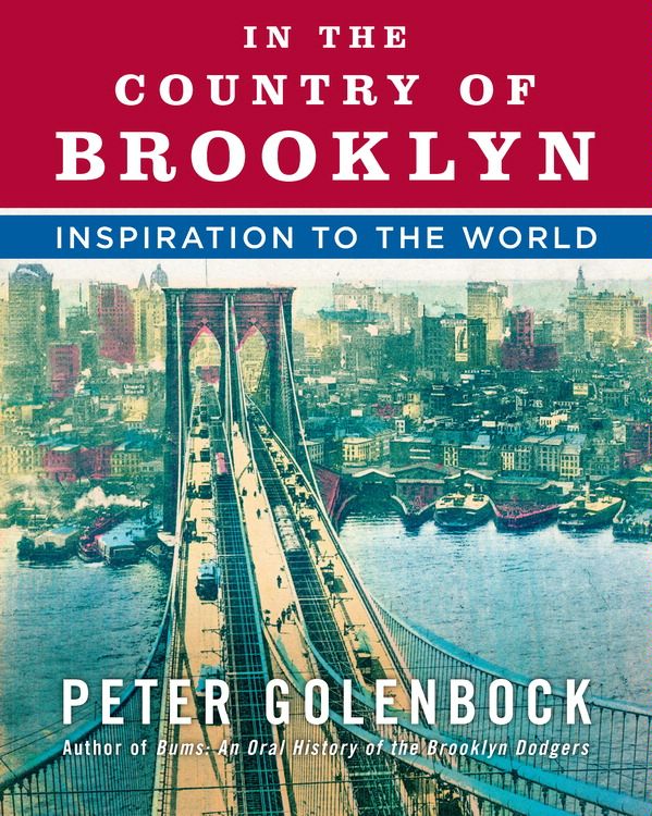 Book In the Country of Brooklyn free