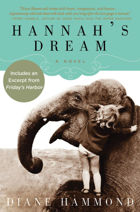 Book Hannah's Dream: A Novel free