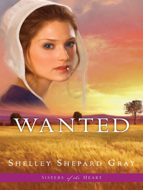 Book Wanted (Sisters of the Heart, Book 2) free