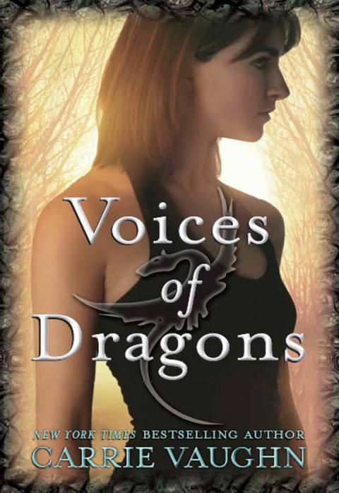 Book Voices of Dragons free