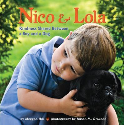 Book KINDERGARTEN STEPPING STONES NICO AND LOLA TRADE BOOK free