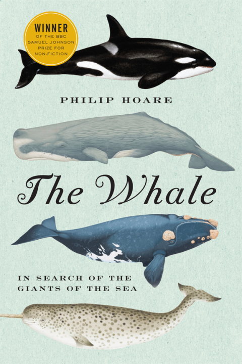 Book The Whale: In Search of the Giants of the Sea free