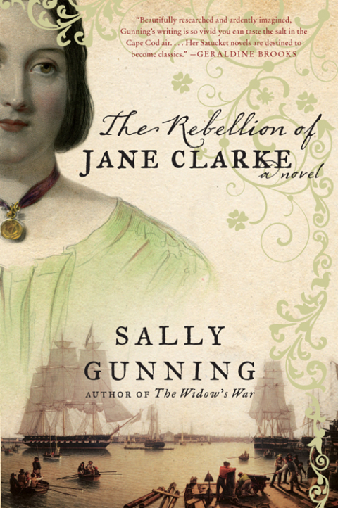 Book The Rebellion of Jane Clarke: A Novel free