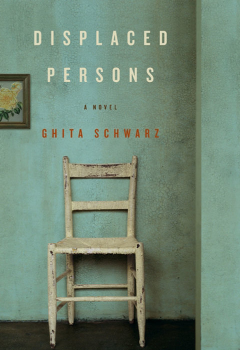 Book Displaced Persons: A Novel free