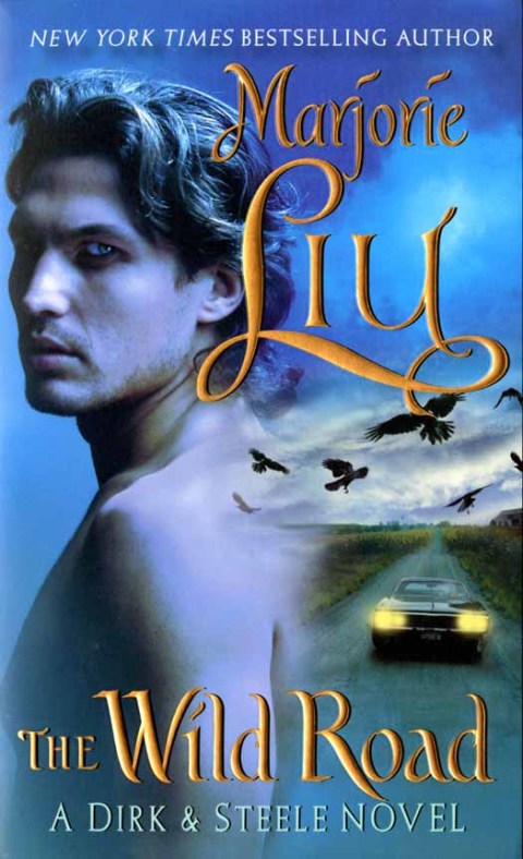 Book The Wild Road: A Dirk & Steele Novel free