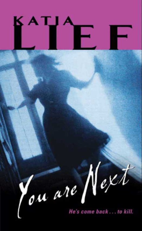 Book You Are Next (Karin Schaeffer Book 1) free