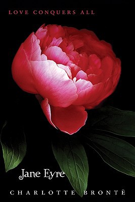 Book Jane Eyre (Teen Classics) free