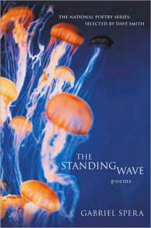 Book The Standing Wave free