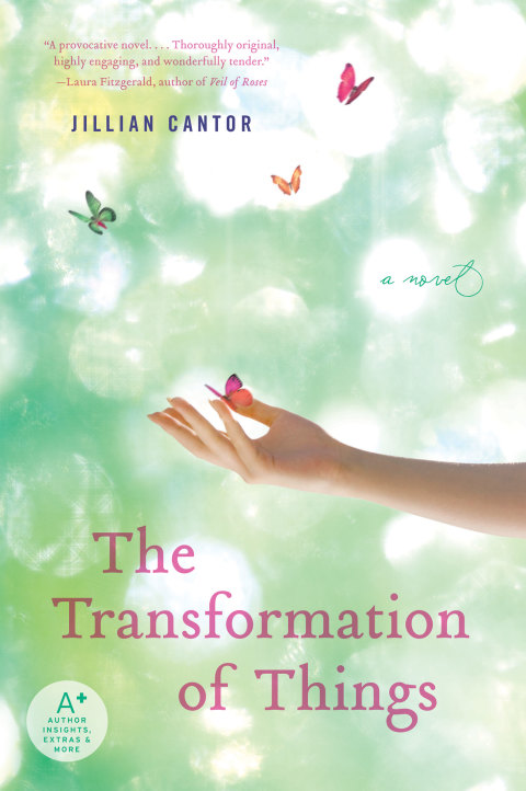 Book The Transformation of Things free