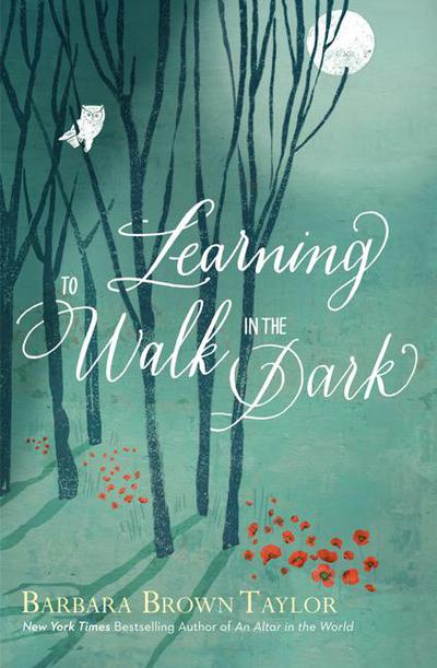 Book Learning to Walk in the Dark free
