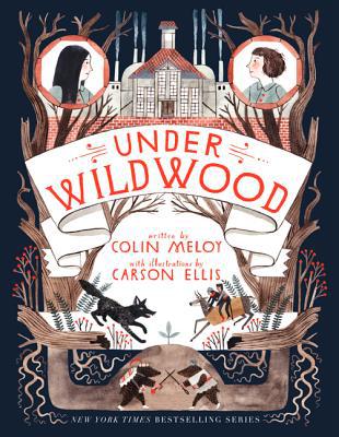 Book Under Wildwood (Wildwood Chronicles Book 2) free