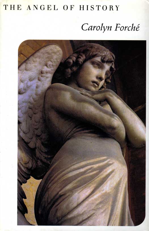 Book The Angel of History free