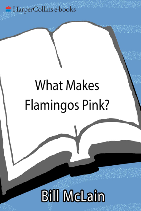 Book What Makes Flamingos Pink?: A Colorful Collection of Q & A's for the Unquenchably Curious free