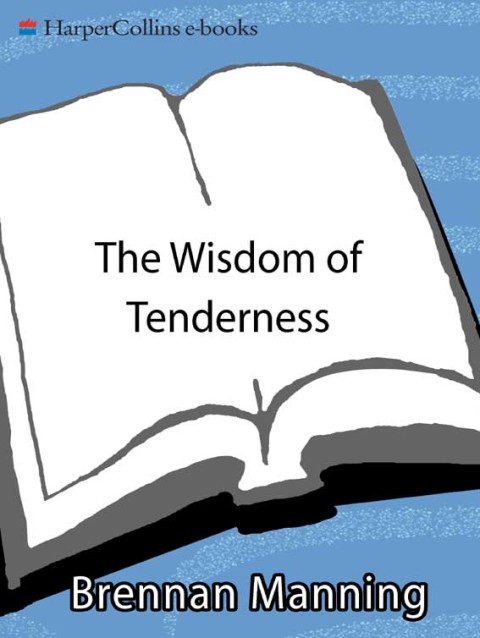 Book The Wisdom of Tenderness: What happens when God's firece mercy transforms our lives free
