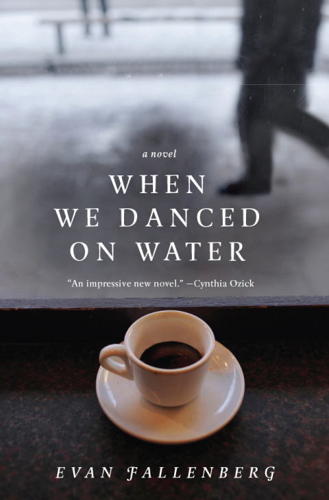 Book When We Danced on Water: A Novel free