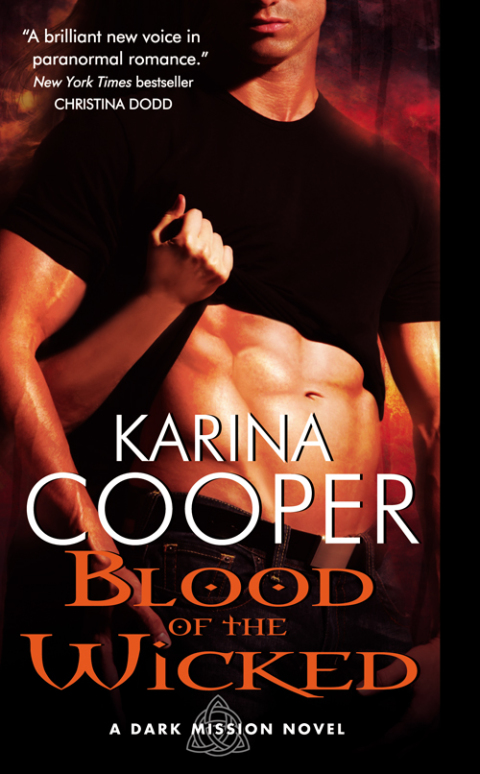 Book Blood of the Wicked: A Dark Mission Novel free