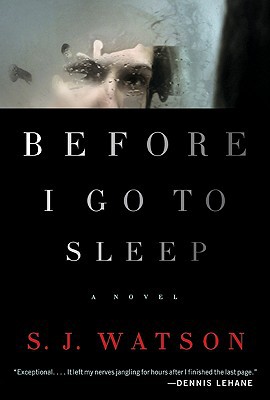 Book Before I Go to Sleep: A Novel free