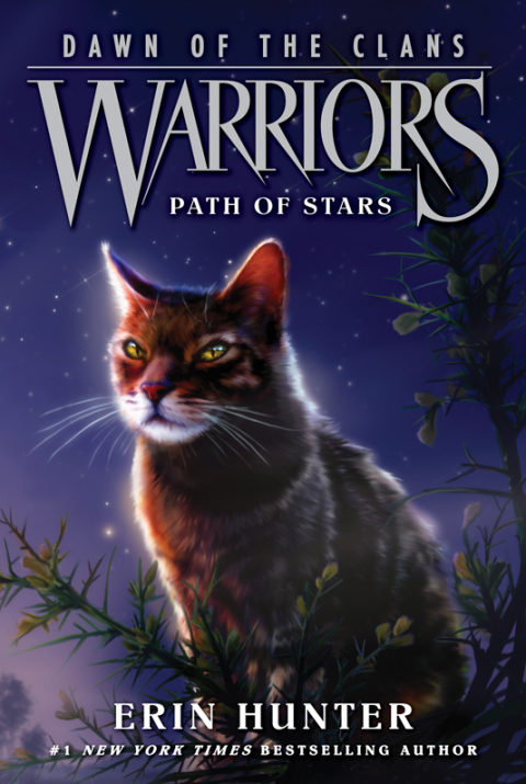 Book Warriors: Dawn of the Clans #6: Path of Stars free