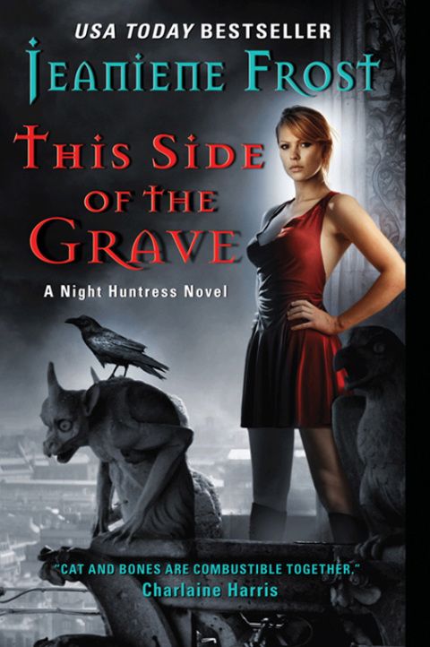 Book This Side of the Grave: A Night Huntress Novel free