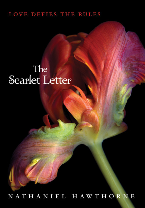 Book The Scarlet Letter (Teen Classics) free