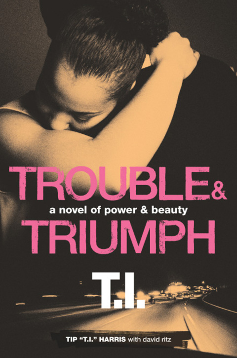 Book Trouble & Triumph: A Novel of Power & Beauty free