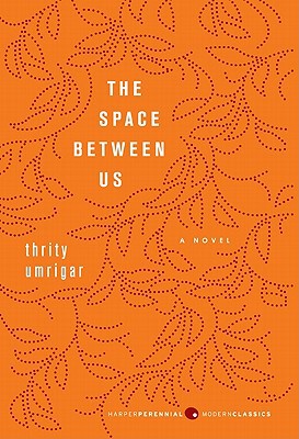 Book The Space Between Us: A Novel (P.S.) free