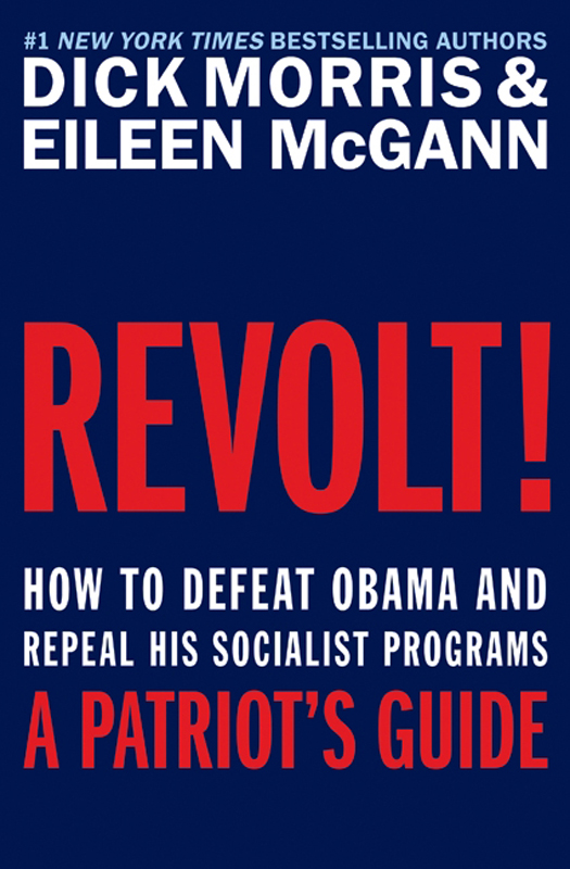 Book Revolt!: How to Defeat Obama and Repeal His Socialist Programs free