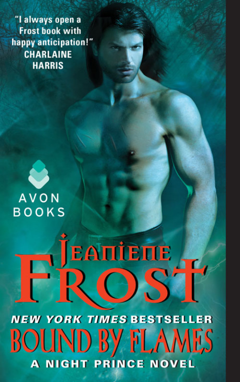 Book Bound by Flames: A Night Prince Novel free