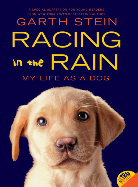 Book Racing in the Rain: My Life as a Dog free