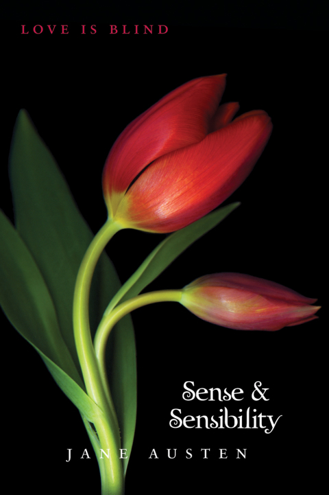 Book Sense and Sensibility free