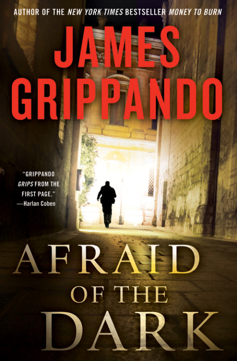 Book Afraid of the Dark (Jack Swyteck Book 9) free