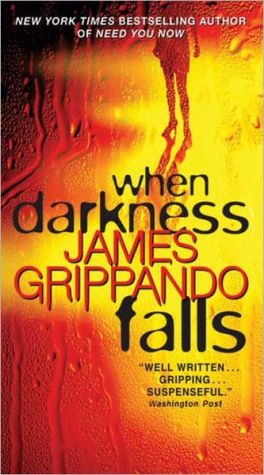 Book When Darkness Falls (Jack Swyteck Novel, 6) free