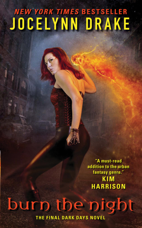 Book Burn the Night: The Final Dark Days Novel (Dark Days Series Book 6) free