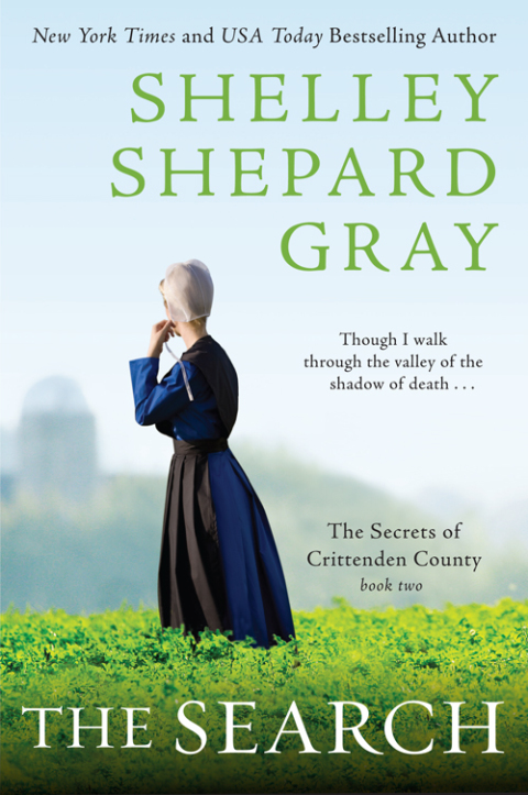 Book The Search: The Secrets of Crittenden County, Book Two free