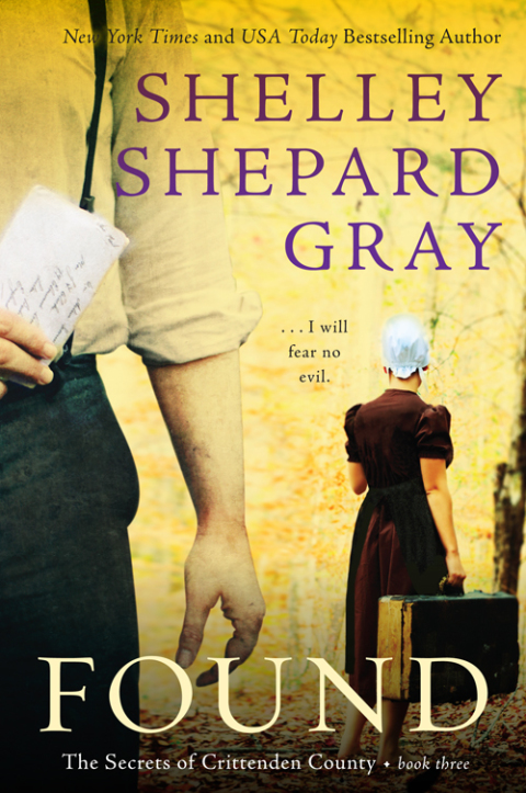 Book Found: The Secrets of Crittenden County, Book Three free