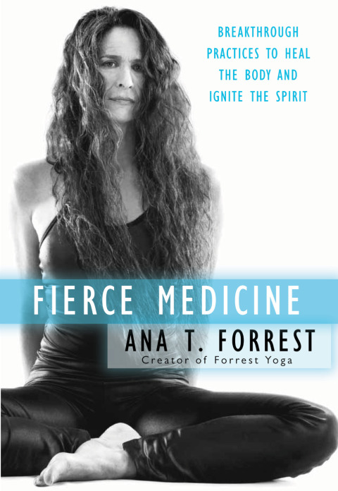 Book Fierce Medicine: Breakthrough Practices to Heal the Body and Ignite the Spirit free