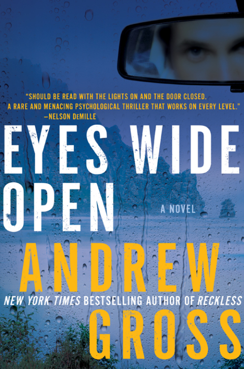 Book Eyes Wide Open: A Novel free
