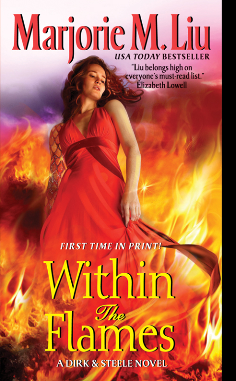 Book Within the Flames: A Dirk & Steele Novel free
