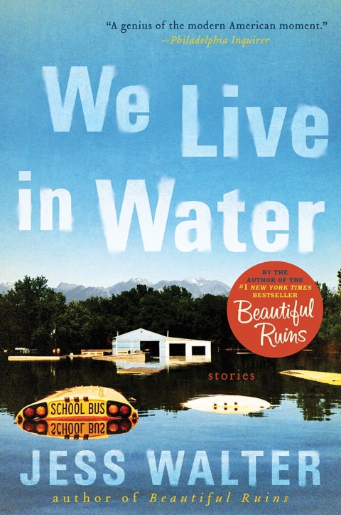 Book We Live in Water: Stories free