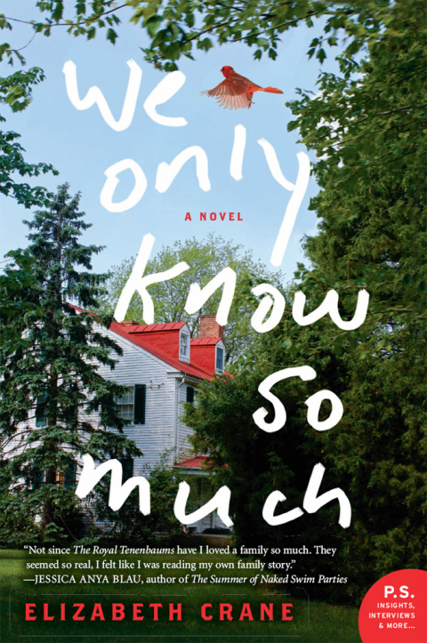 Book We Only Know So Much: A Novel free