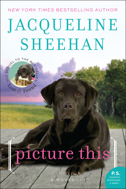 Book Picture This: A Novel (Peaks Island Book 2) free