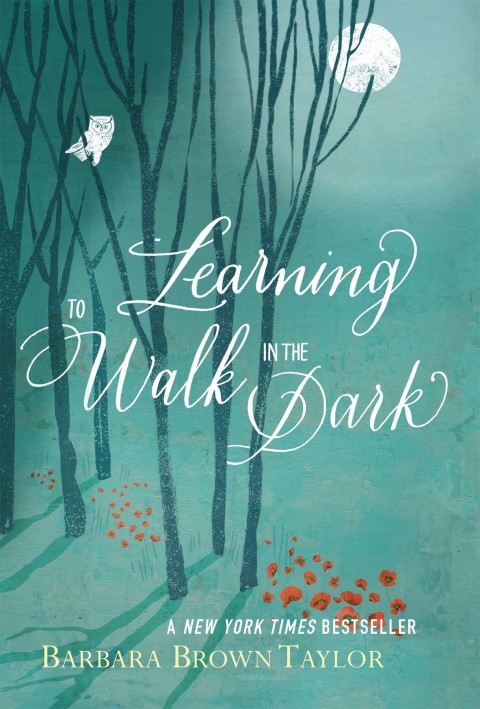 Book Learning to Walk in the Dark: Because Sometimes God Shows Up at Night free