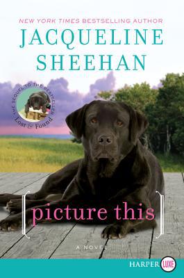 Book Picture This: A Novel (Peaks Island, 2) free