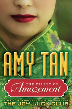 Book The Valley of Amazement free