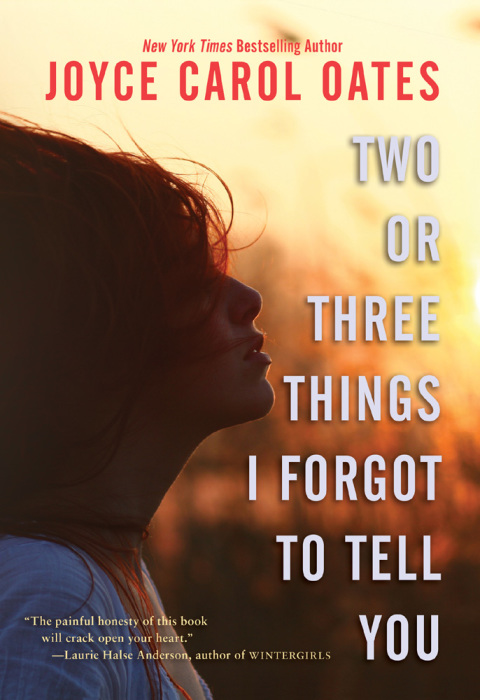 Book Two or Three Things I Forgot to Tell You free